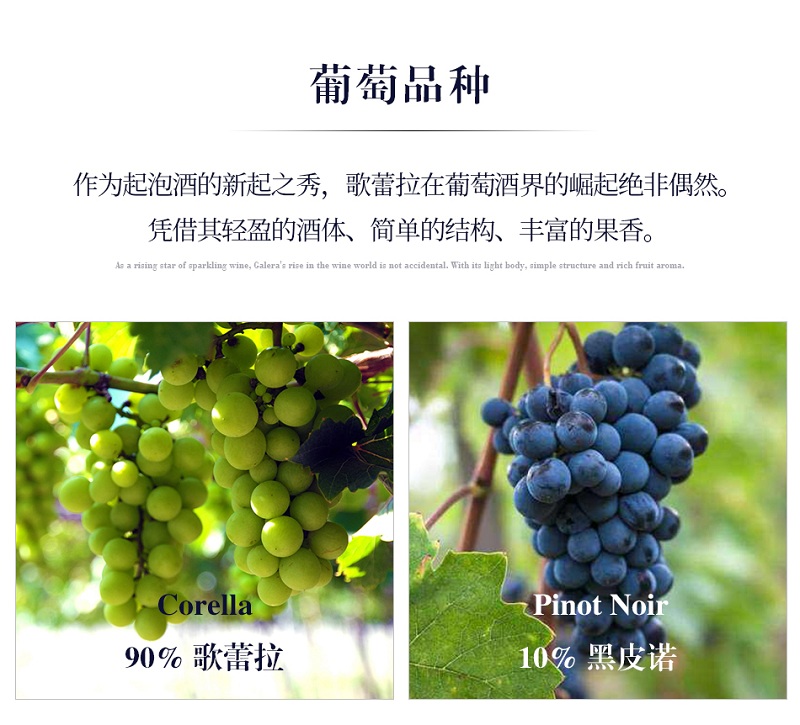 選擇優質葡萄