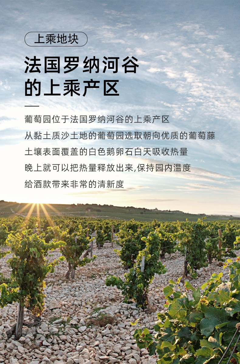 羅納河谷上乘產區