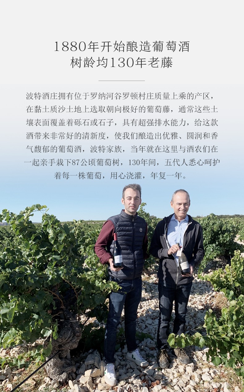 百年老樹